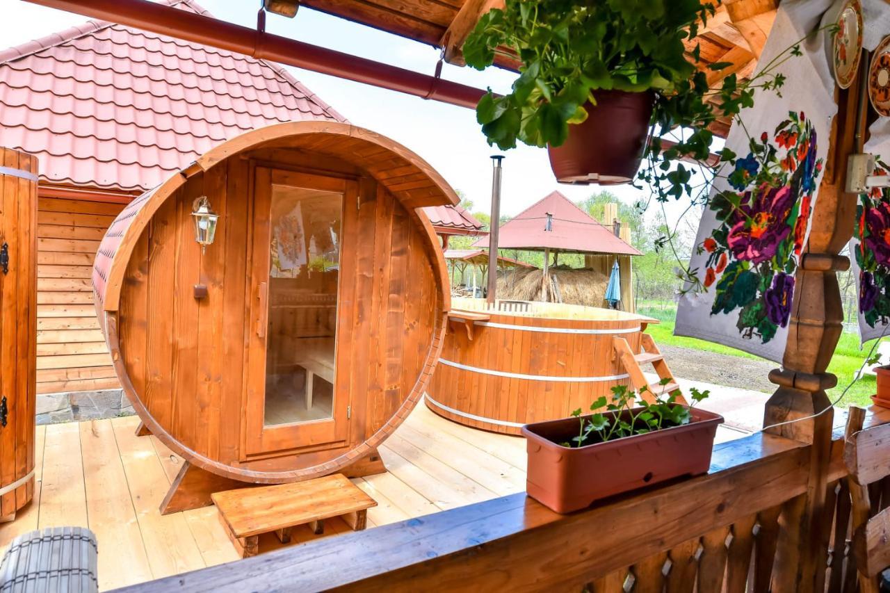 Hotel Casa Nely à Sighetu Marmaţiei Extérieur photo