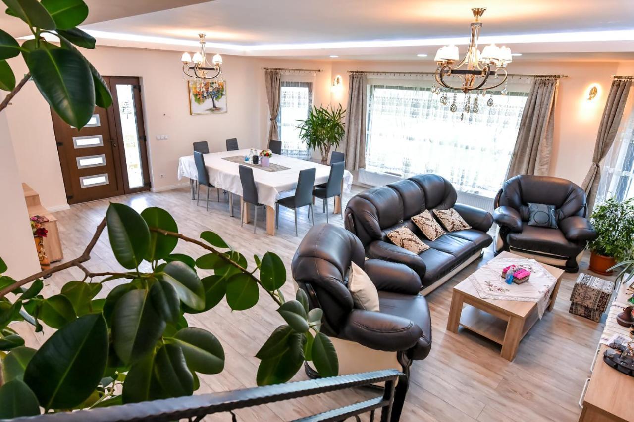 Hotel Casa Nely à Sighetu Marmaţiei Extérieur photo