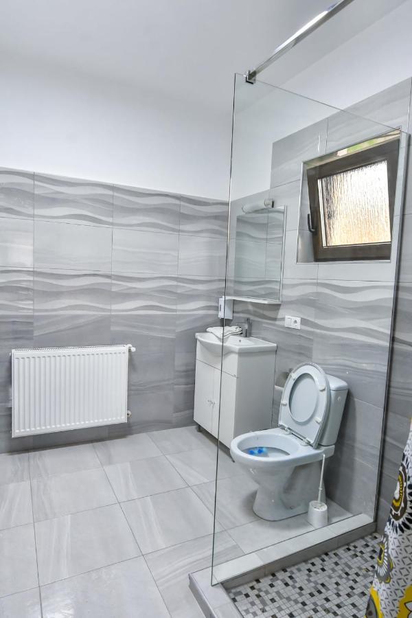 Hotel Casa Nely à Sighetu Marmaţiei Extérieur photo